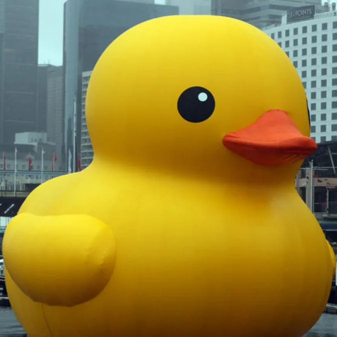 A photo of a giant rubber duck.